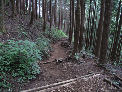 20150929hike (262)